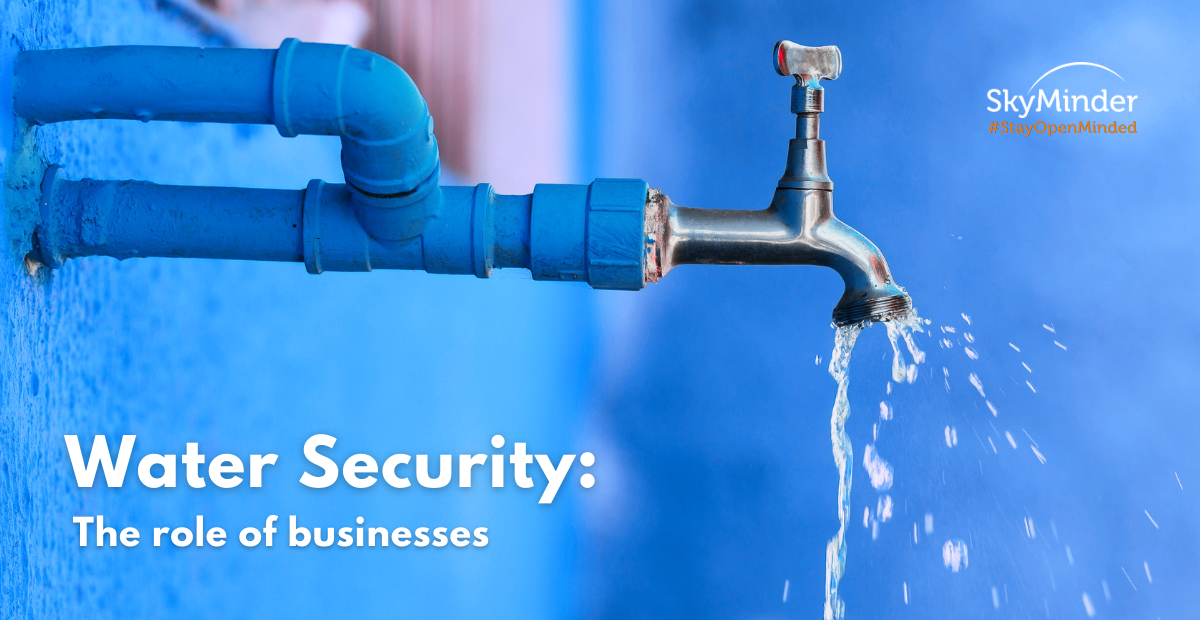 Water Security: the role of businesses