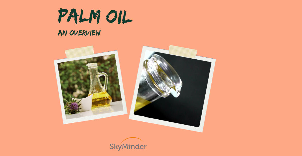 Palm Oil 1200 X 620 Px