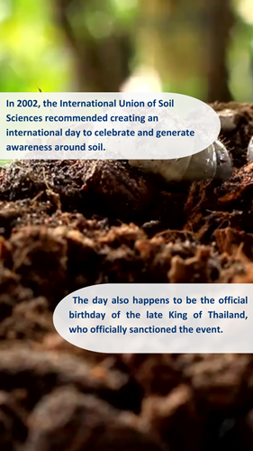 World Soil Day 2