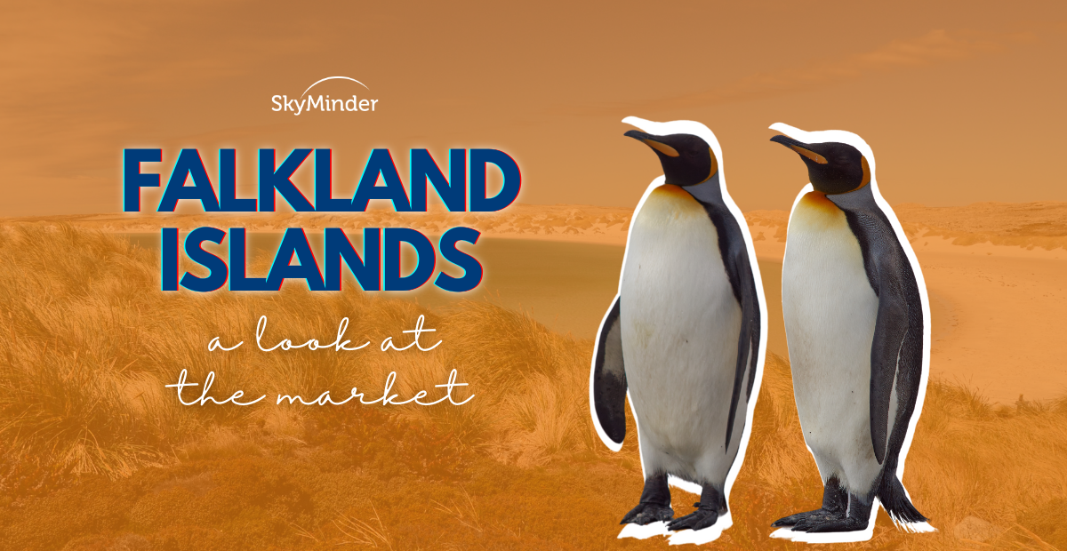 Falkland Islands: a look at the market