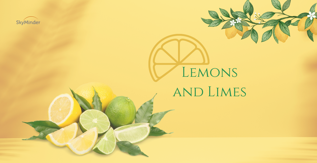 Lemons and Limes: import and export (1)