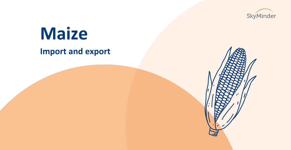 Maize: import and export