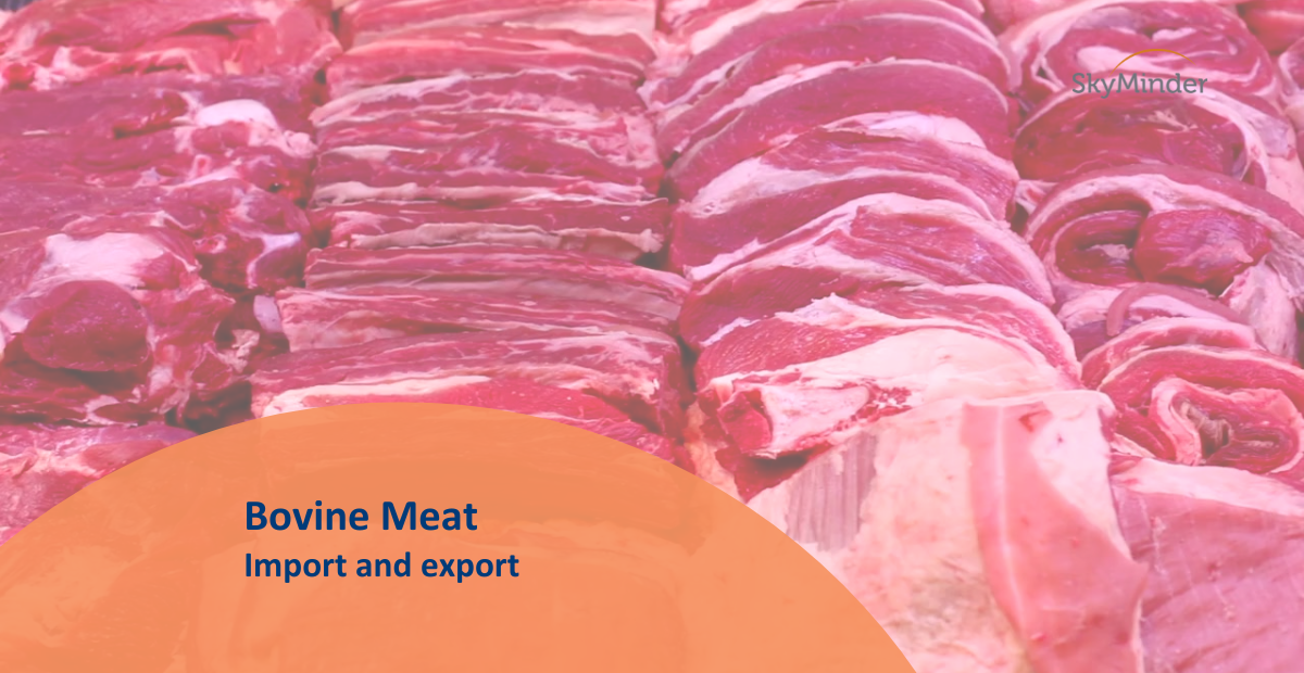 Bovine meat: import and export