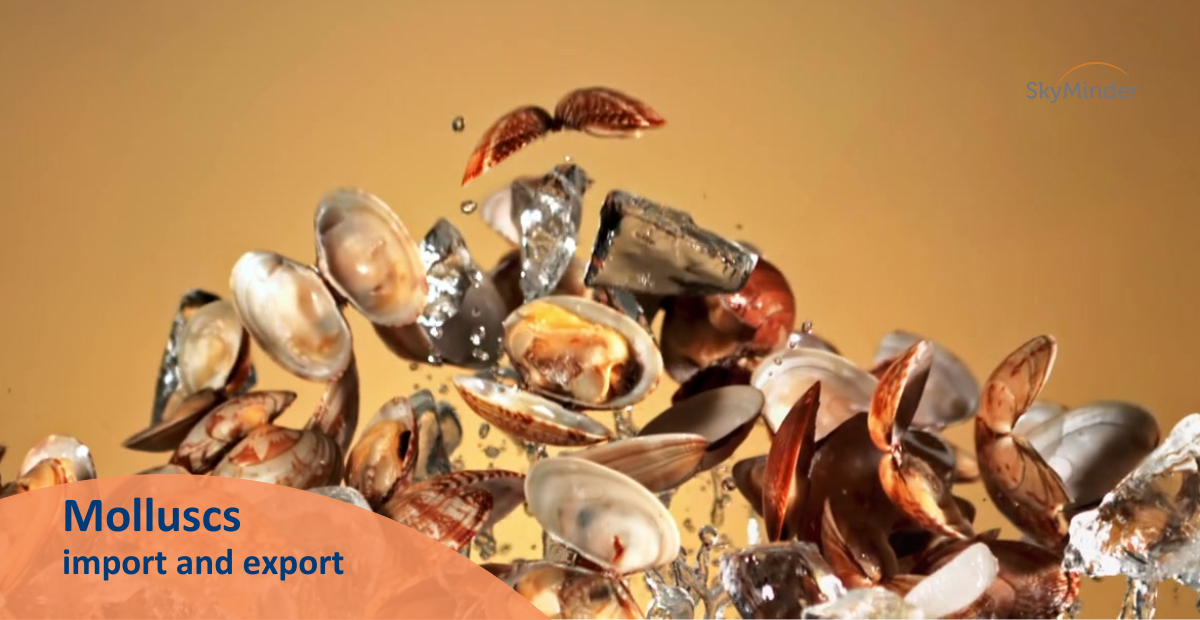 Molluscs: import and export