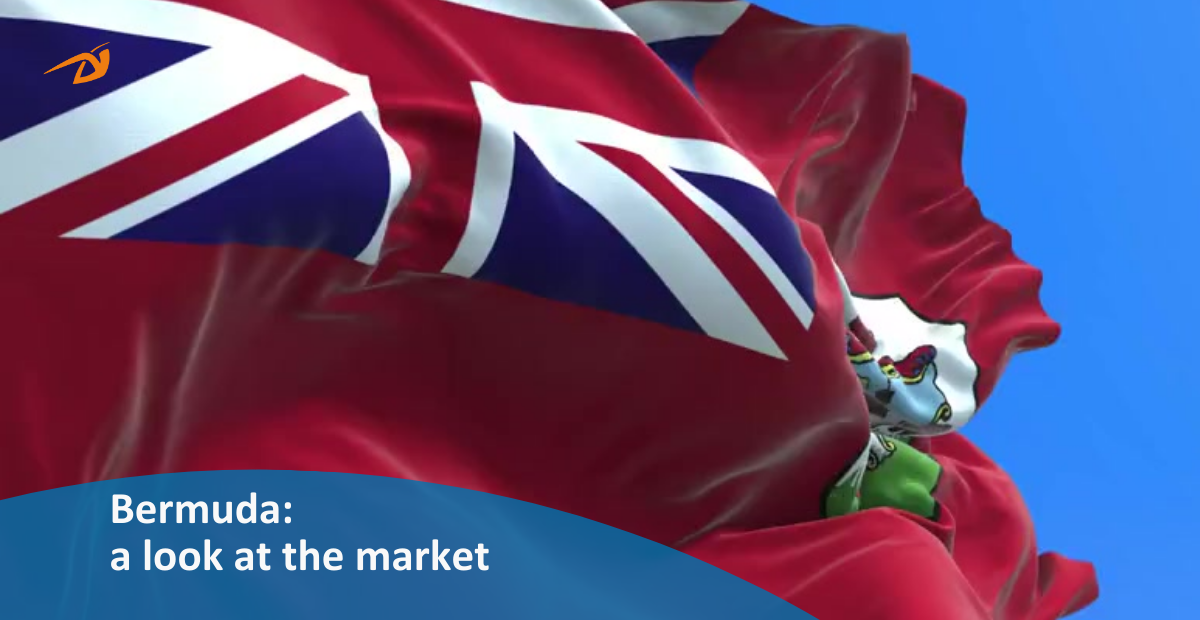 Bermuda: a look at the market