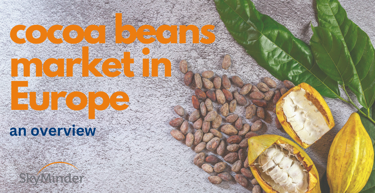 Cocoa Beans Industry 1200 X 620 Px