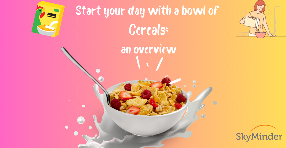Cereals An Overview 1200 X 620 Px