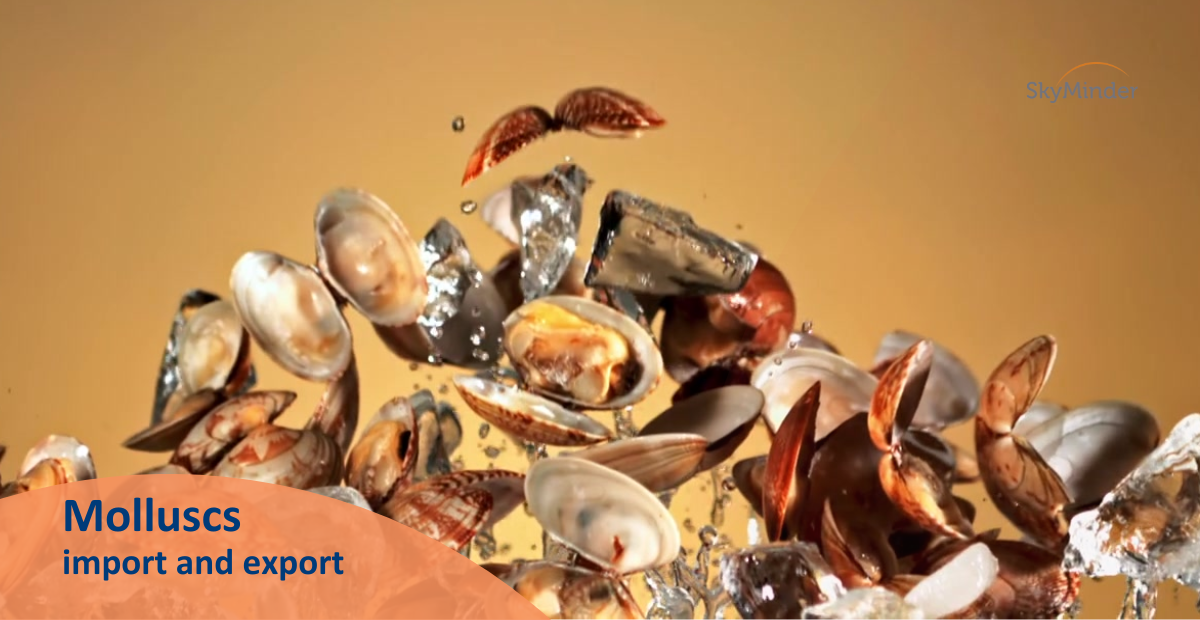 Molluscs Import And Export 09 01 2025 1200 X 620 Px