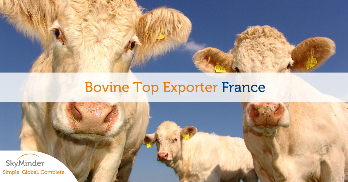 Bovine Top Exporter
