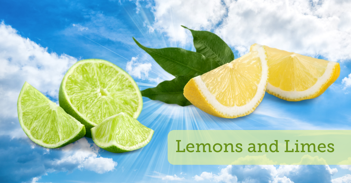 Lime And Lemon 1