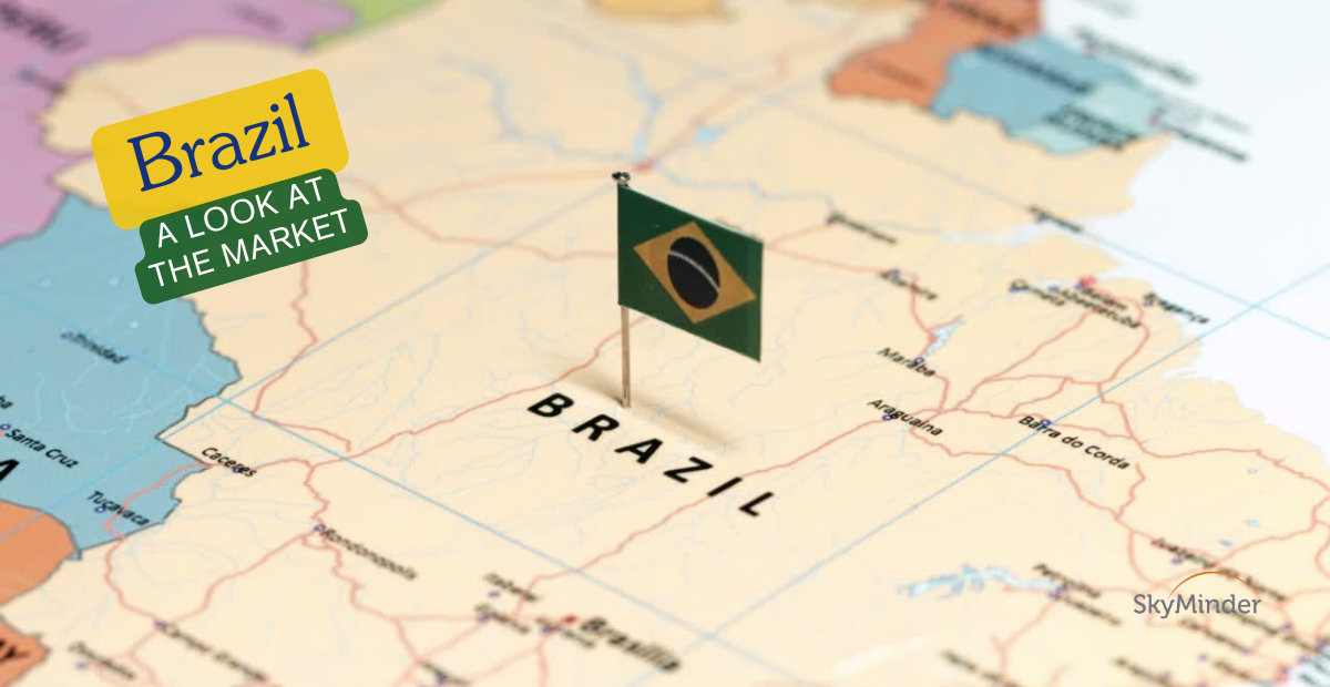 Brazil A Look At The Market