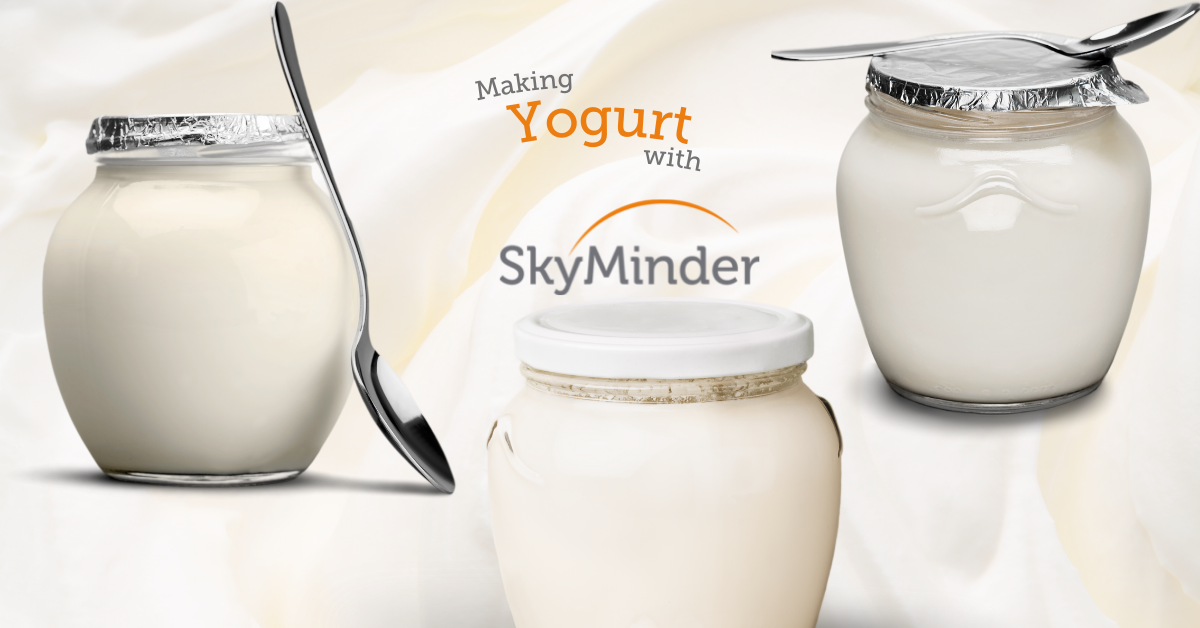 Yogurt 1