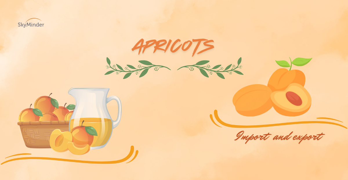 Apricots