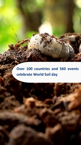World Soil Day 3