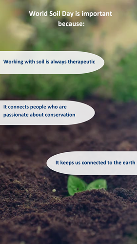 World Soil Day 4