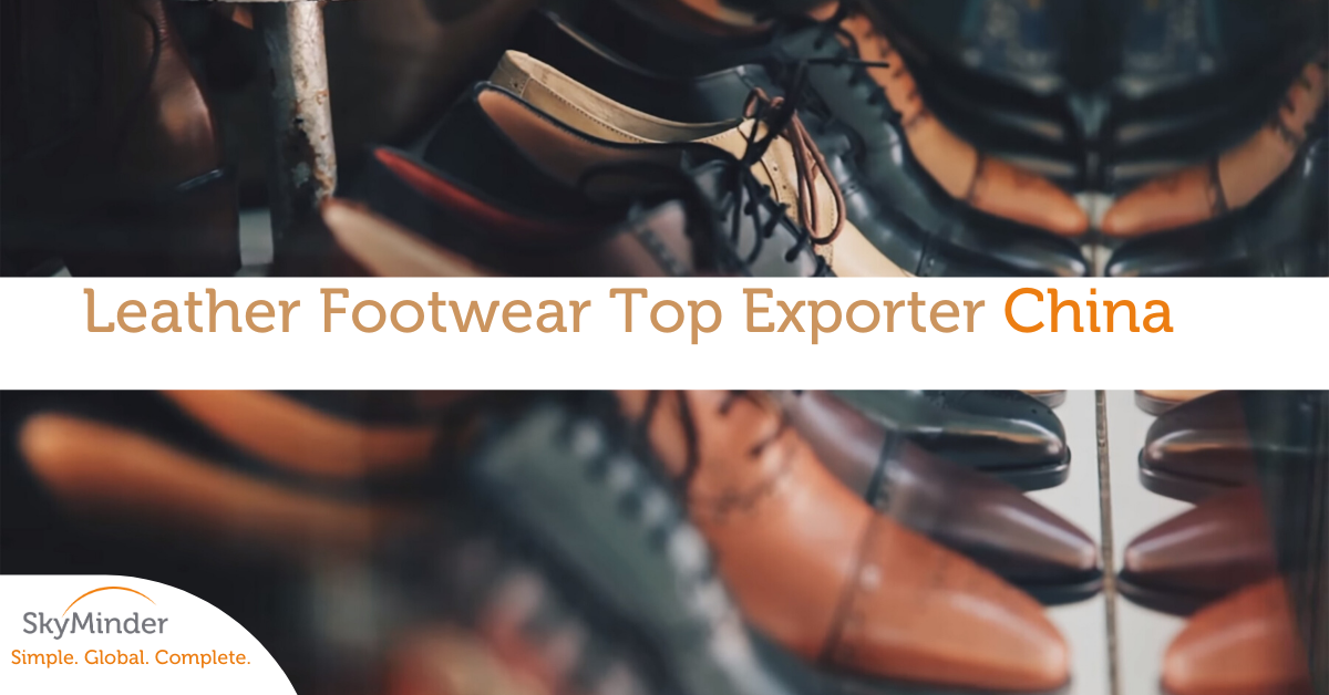 Leather Footwear 1