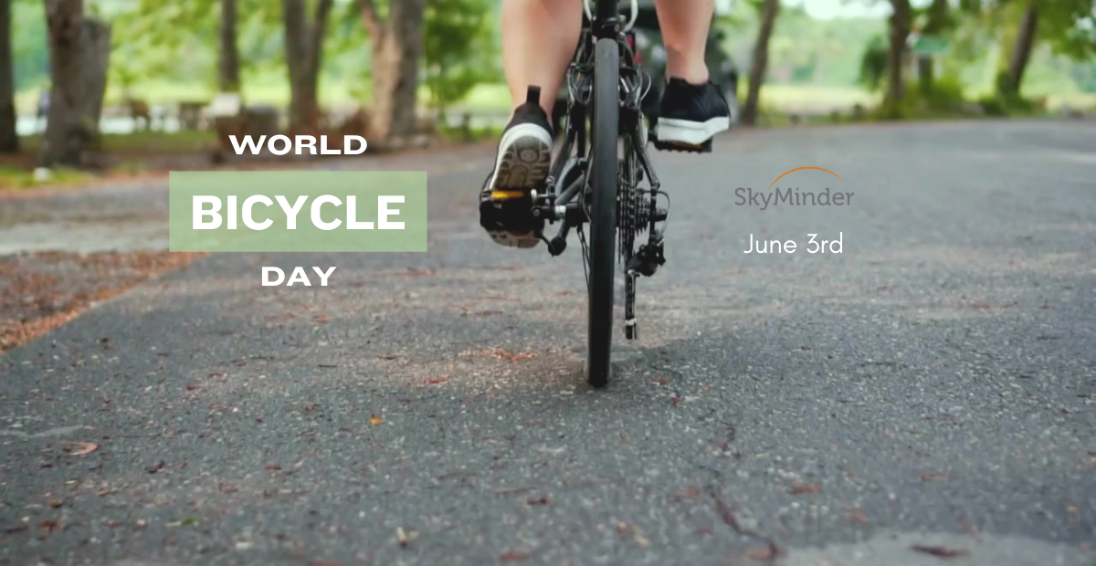 World Bicycle Day 1