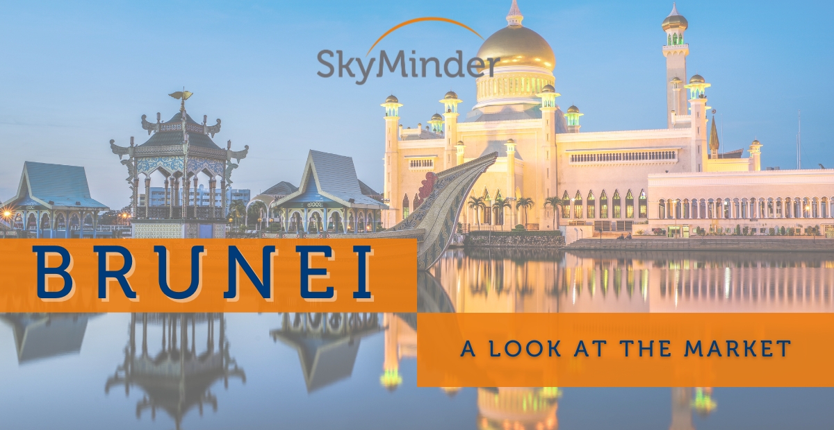 Brunei Country Analysis