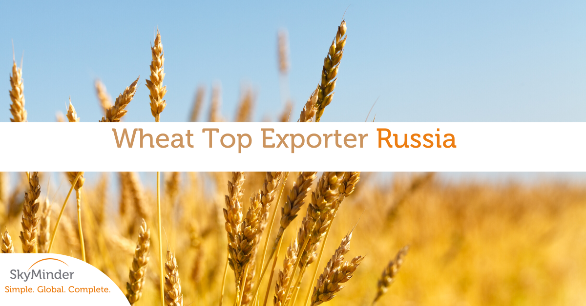 Wheat 5