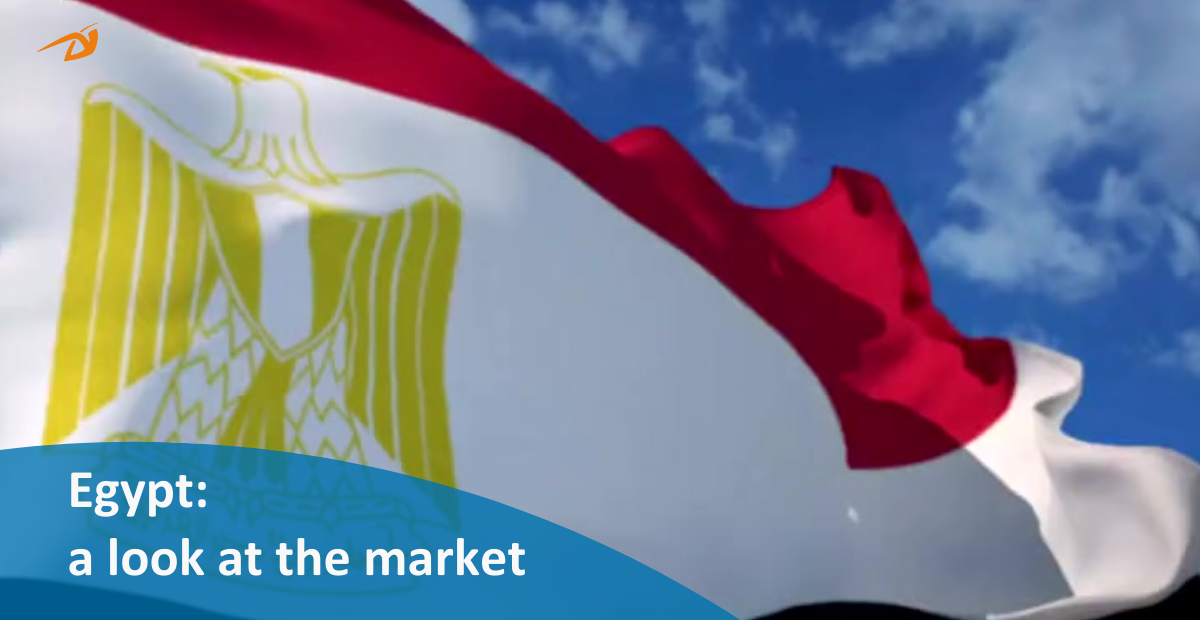 Egypt A Look At The Market 10022025 1200 X 1200 Px 1200 X 620 Px