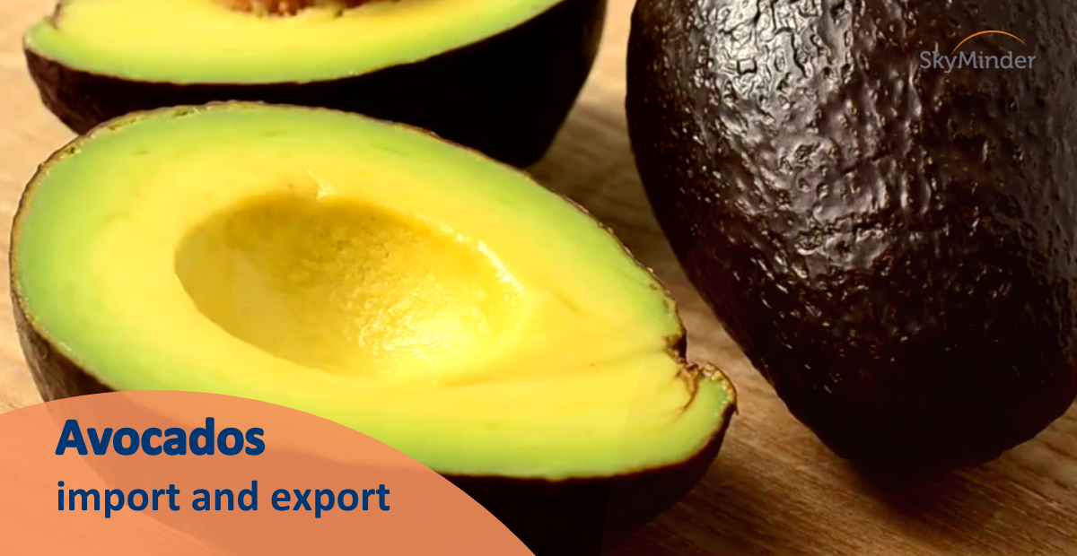 Avocados Import And Export 18 02 2025 1200 X 620 Px