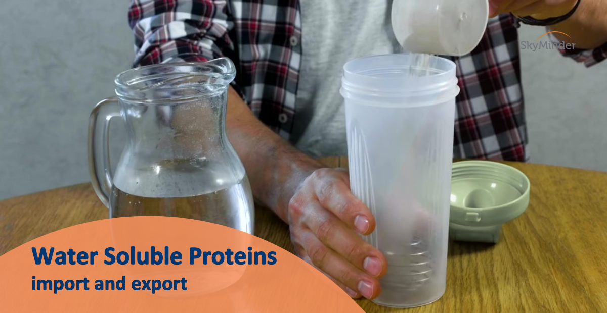 Water Soluble Proteins Import And Export 26 03 2025 1200 X 620 Px