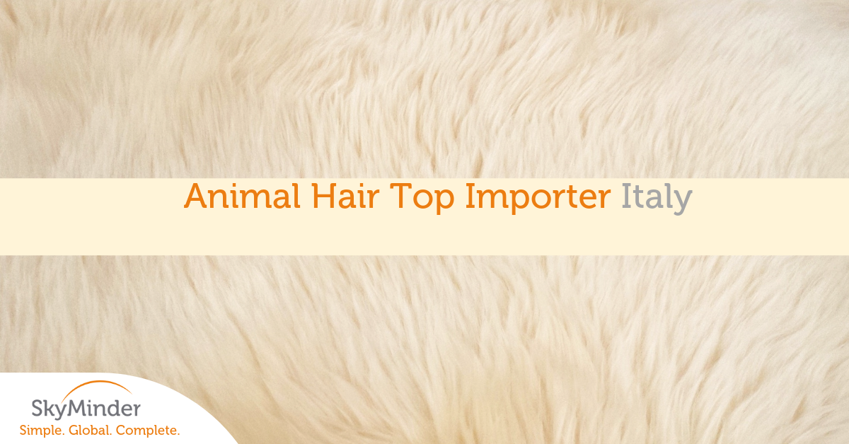 Animal Hair Top Importer Italy Fb 1