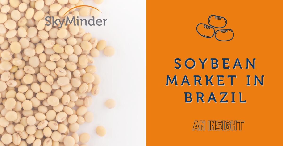 Soybean Market Cover 1