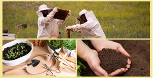 World Bee Day