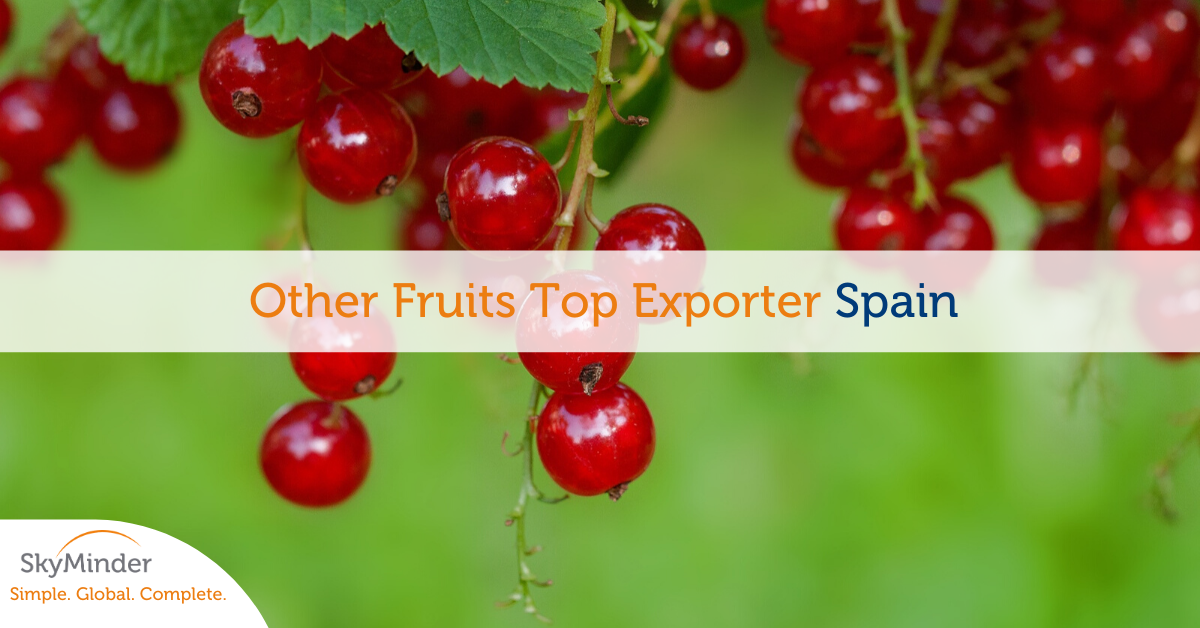 Other Fruits Top Exporter