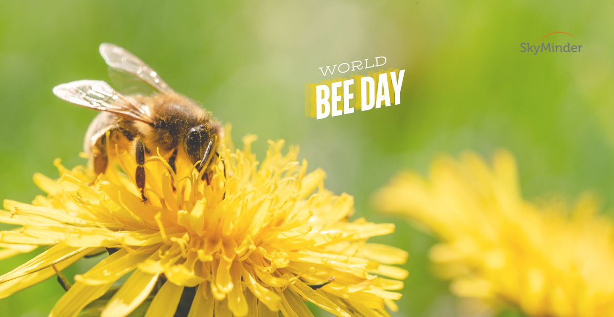 World Bee Day 1