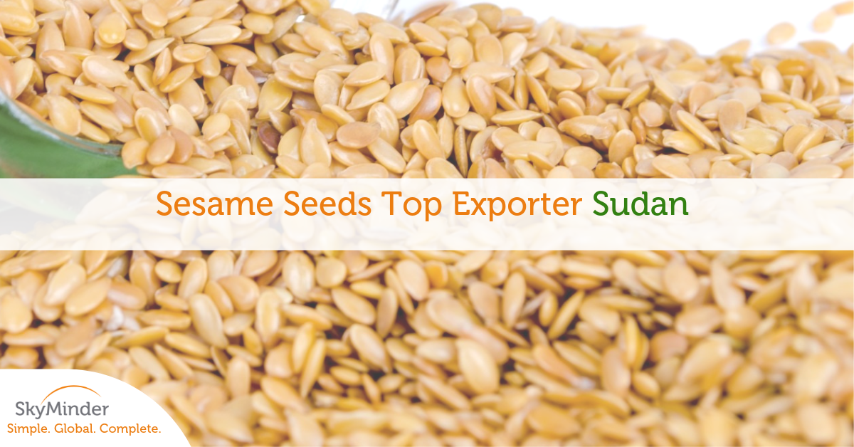 Copia Di Sesame Seeds Top Exporter