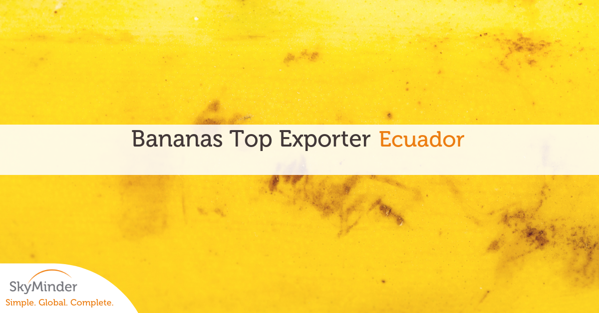 Copia Di Copia Di Bananas Top Exporter
