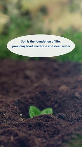 World Soil Day 5