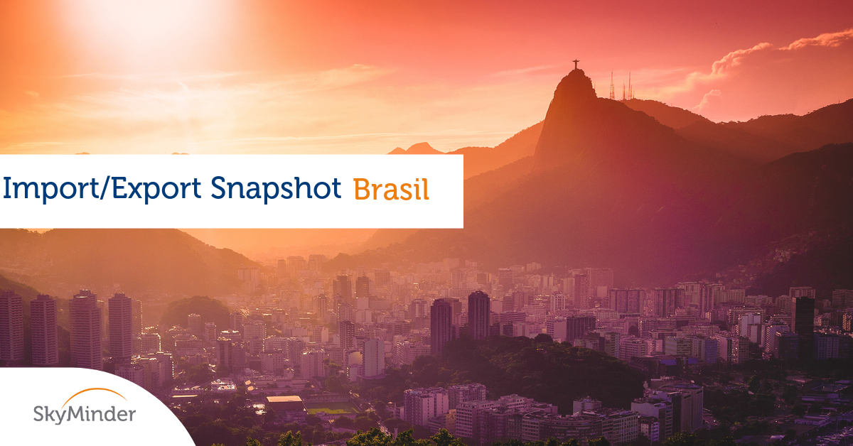 Brasil 7