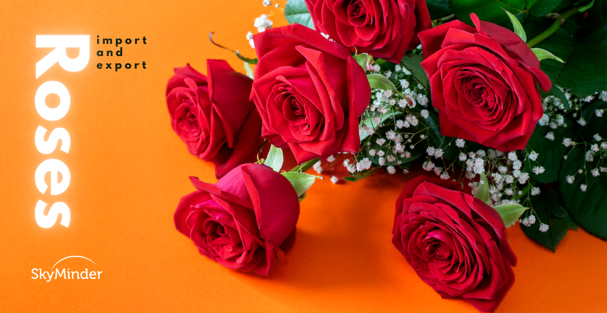 Roses