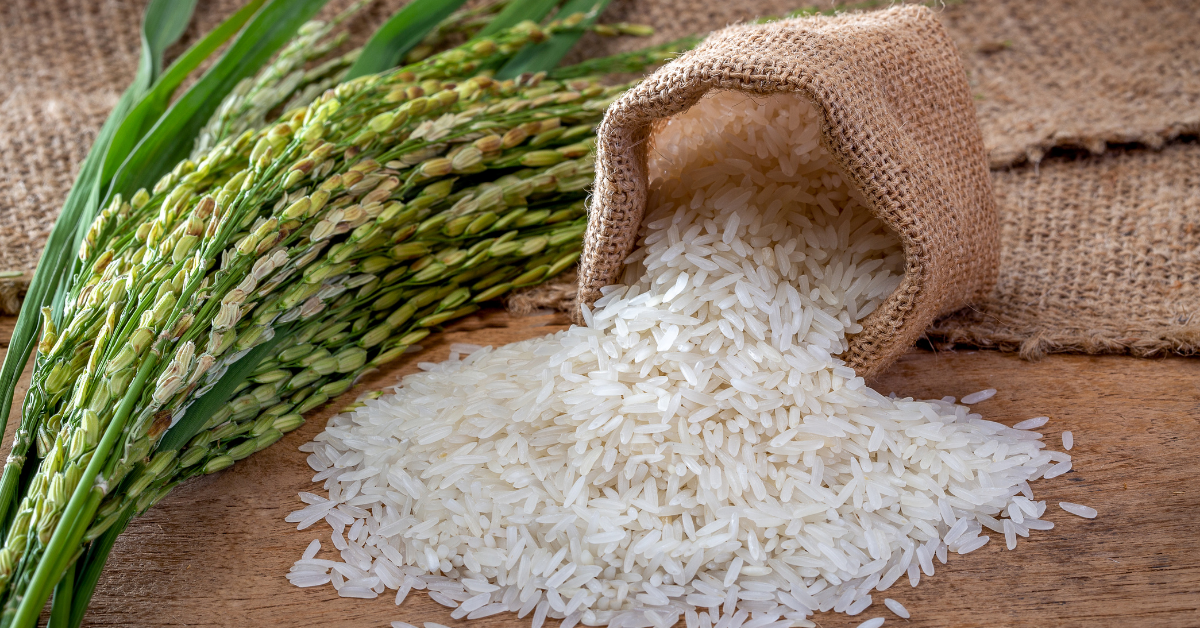 Rice Cover