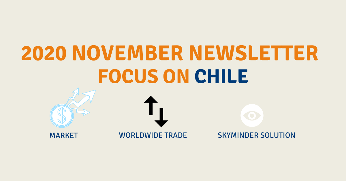 Cover Newsletter Chile