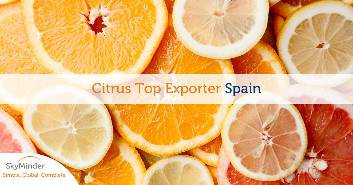 Citrus Top Exporter