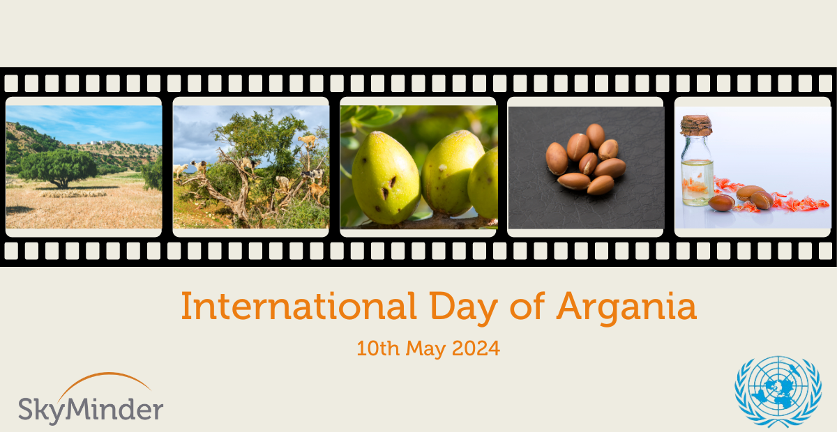 International Day Argania 10052024