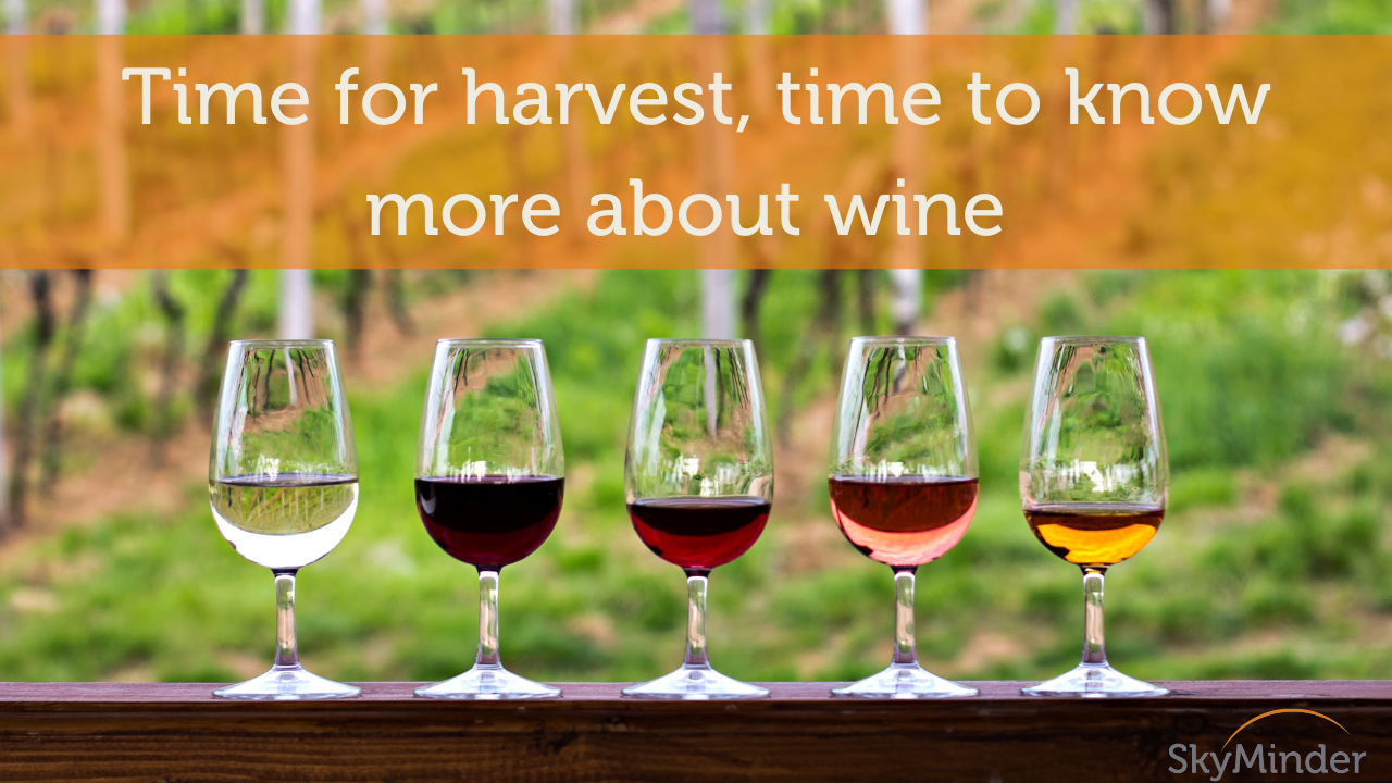 Wine Cover Import And Export
