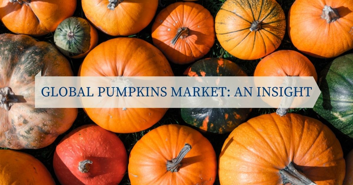 Global Pumpkins Market An Insight
