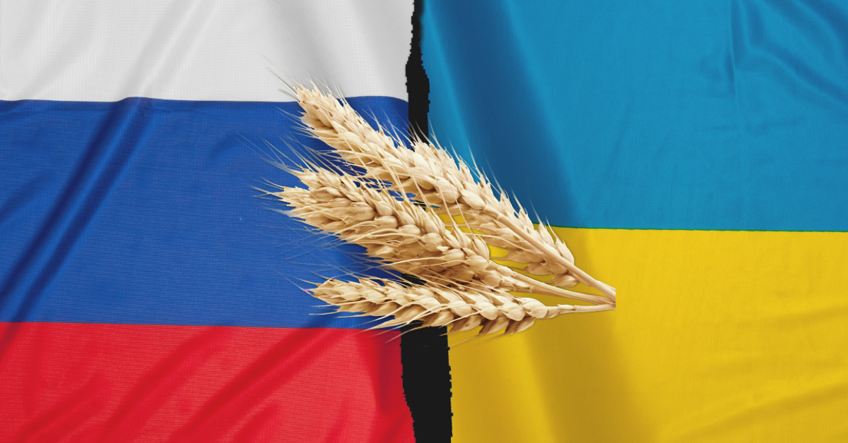 Cover Wheat Russia Ukraine